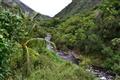 Maui - Iao Valley